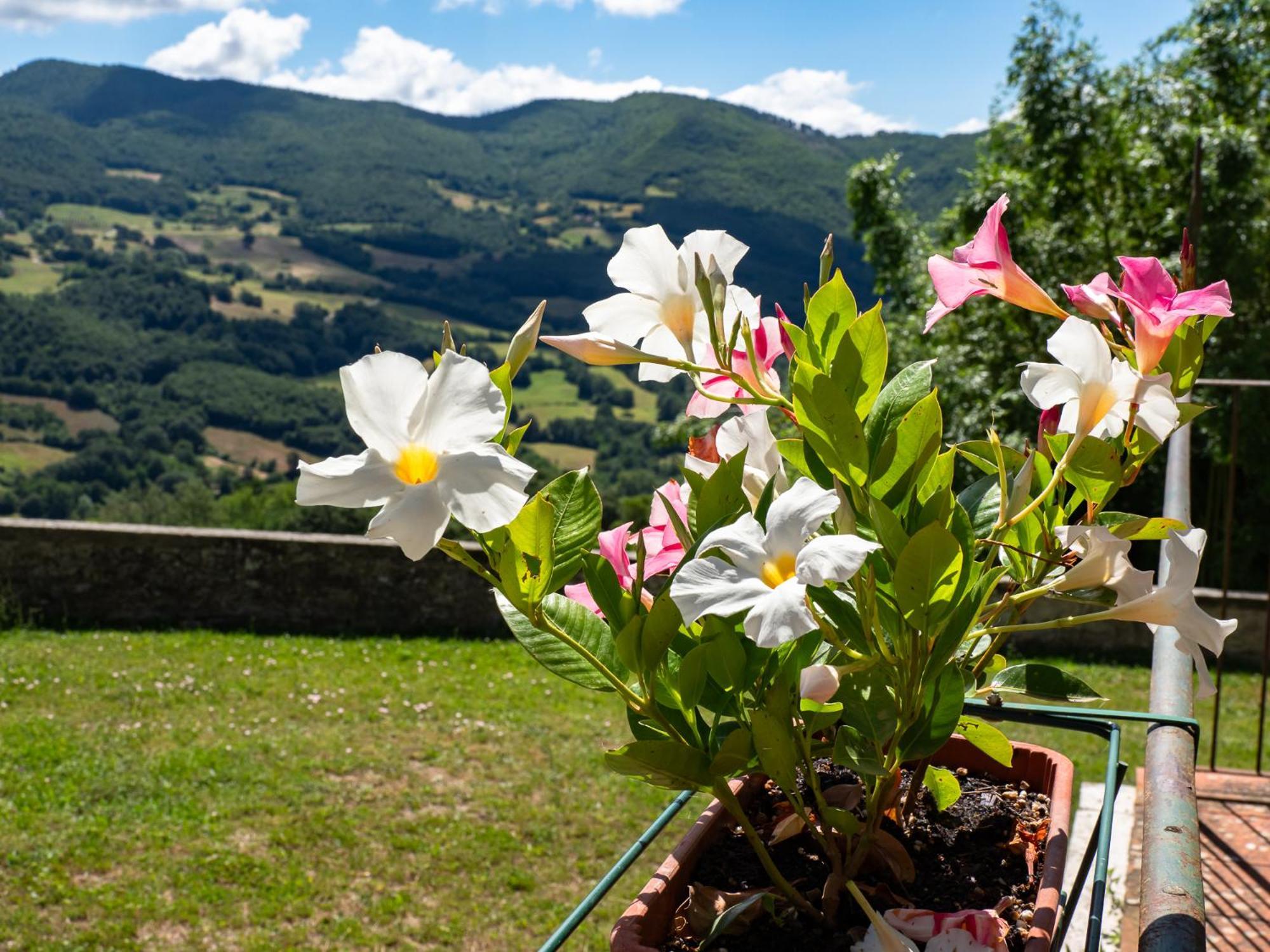 Agriturismo Villaggio Eden Pieve Santo Stefano Exterior foto